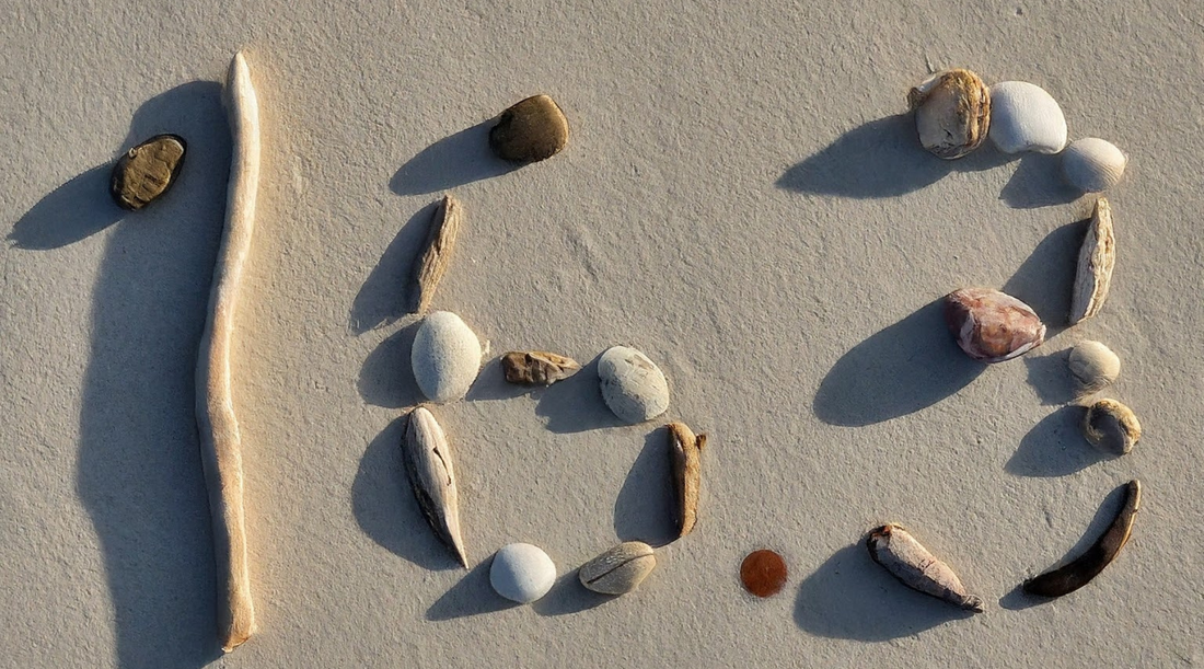 Date of the JTMFC 16/03 on sandy beach