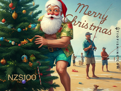 100 dollars Christmas gift card