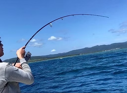Caña de viaje Transcendence Mistral XX para casting y jigging