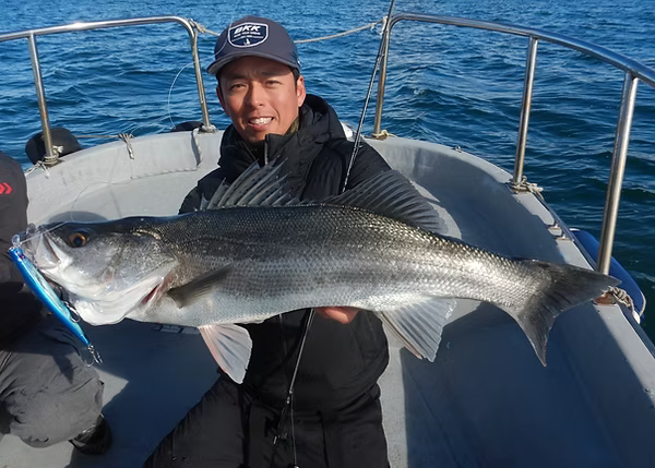 Caña de viaje Transcendence Mistral XX para casting y jigging