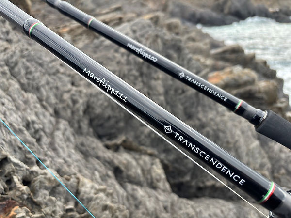 Transcendence Mareflipp 102 Travel Rod
