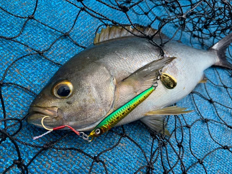 MAGBITE Iwashi Maki Special Blade Metal Jig
