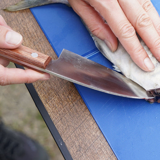 Belmont Ko Deba Japanese Filleting Knife