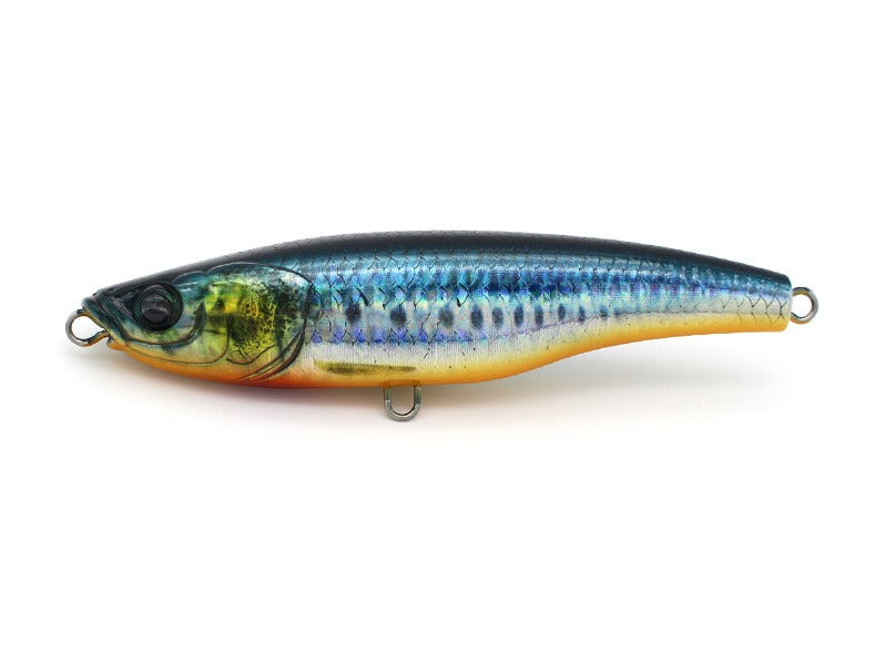 Little Jack Forma Heads Topwater Stickbait