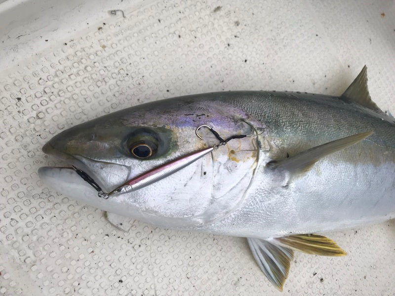 Little Jack Metal Adict Type 05 Metal Jig