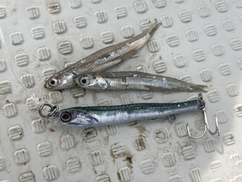 Little Jack Metal Adict Type 03 Micro Jig