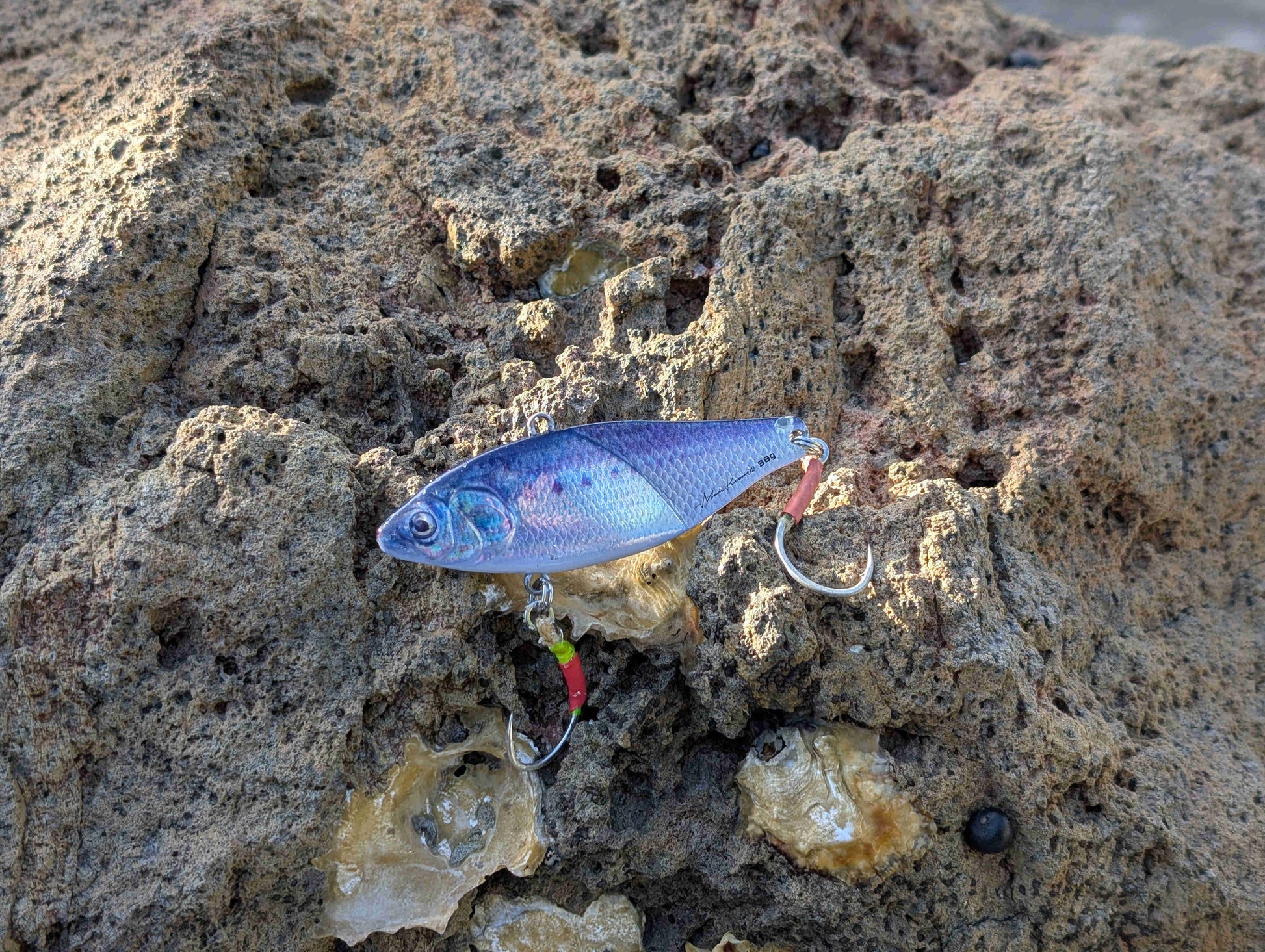 Little Jack More Keen 02 Vibe UV Purple Color