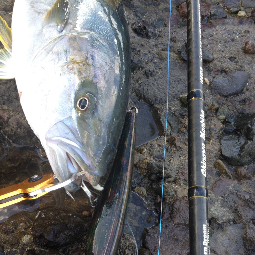 Tailwalk OKINAWA MANBIKA 100SSXH P3 Land Based Game Rod