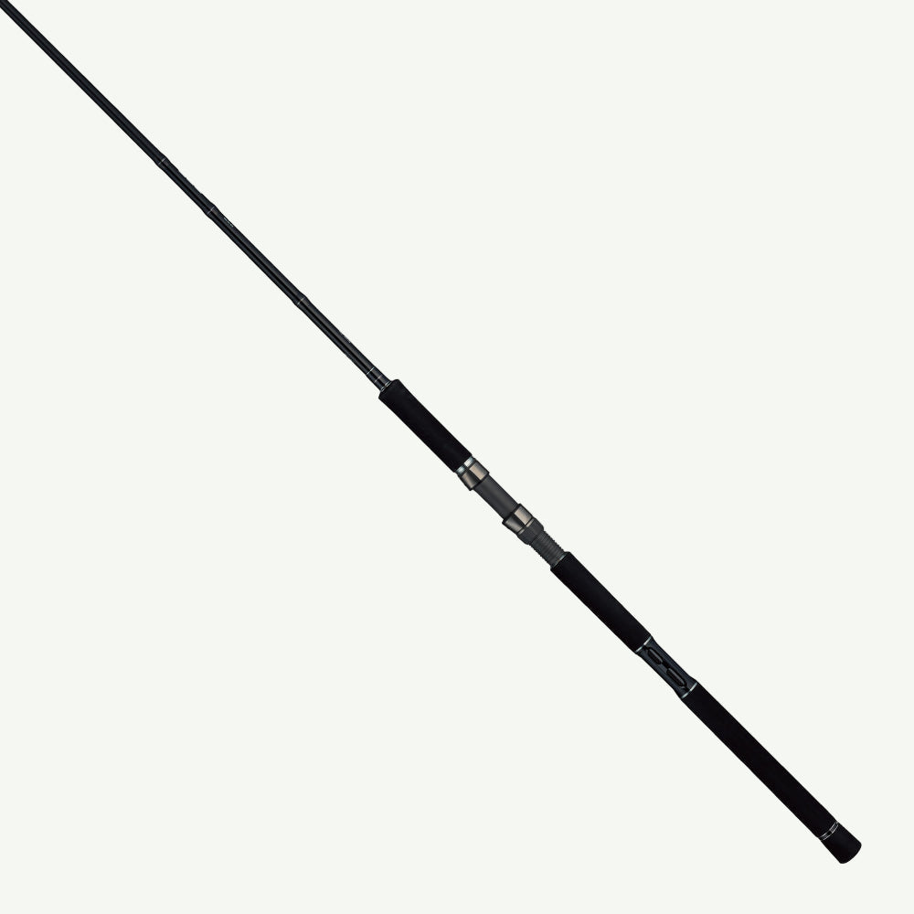 Tailwalk RIZE SHOOTER SSD S96ML Shore Jigging Rod
