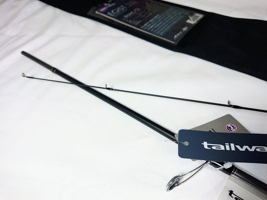 ailwalk EGIST SSD 86ML SL Squid Fishing Rod zoom in to tip section