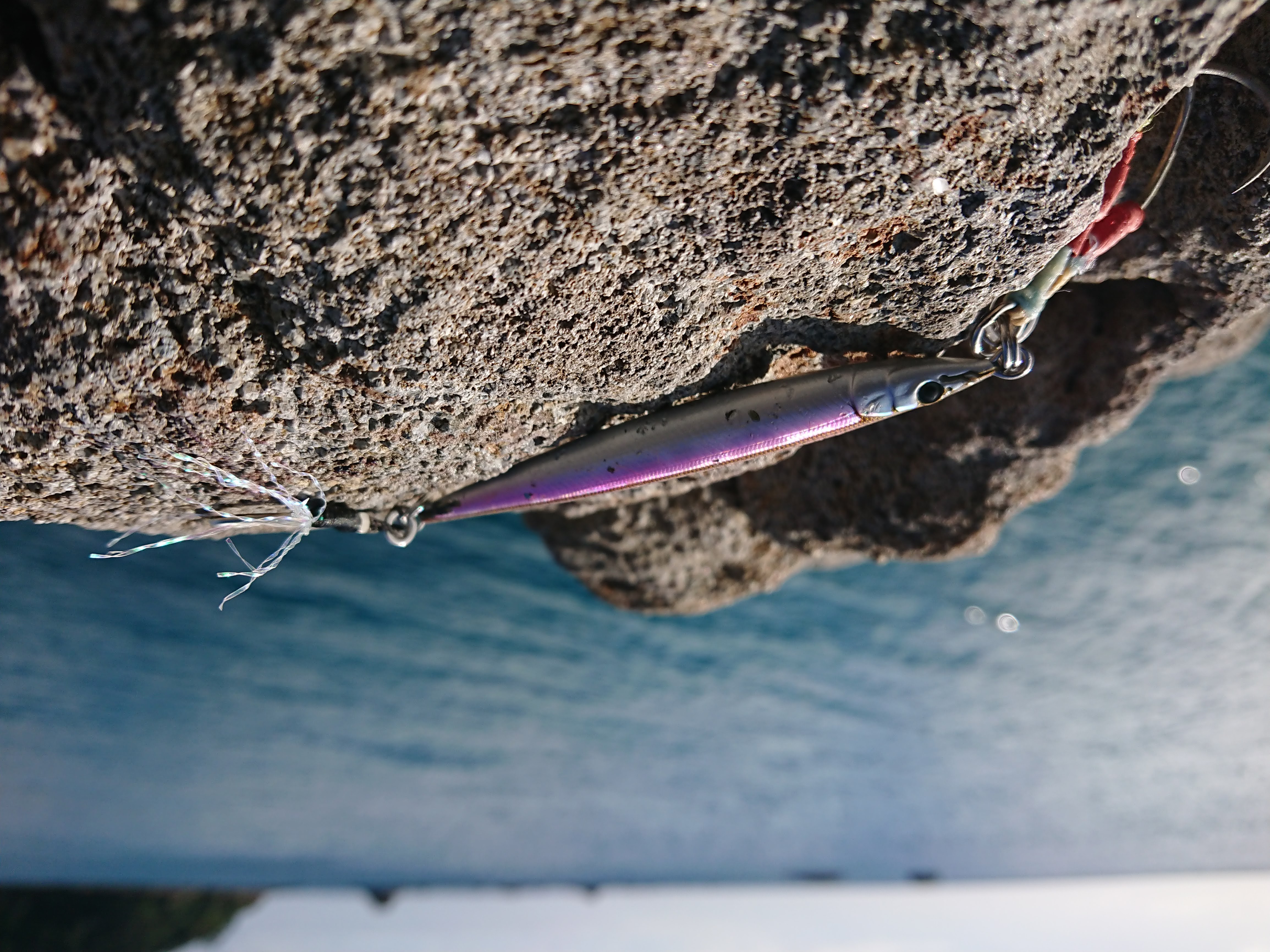 Shore Fish Rig 🔰Shore Jigging: A Beginner's Guide to NZ – Tio Fishing
