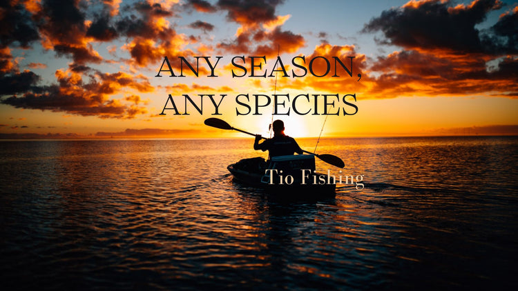 tio fishing soft bait fishing collection cover pic