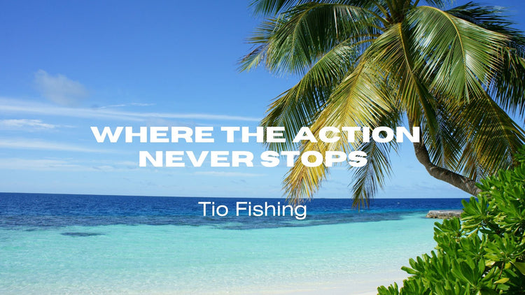 tio fishing topwater fishing tackles collection  cover pic