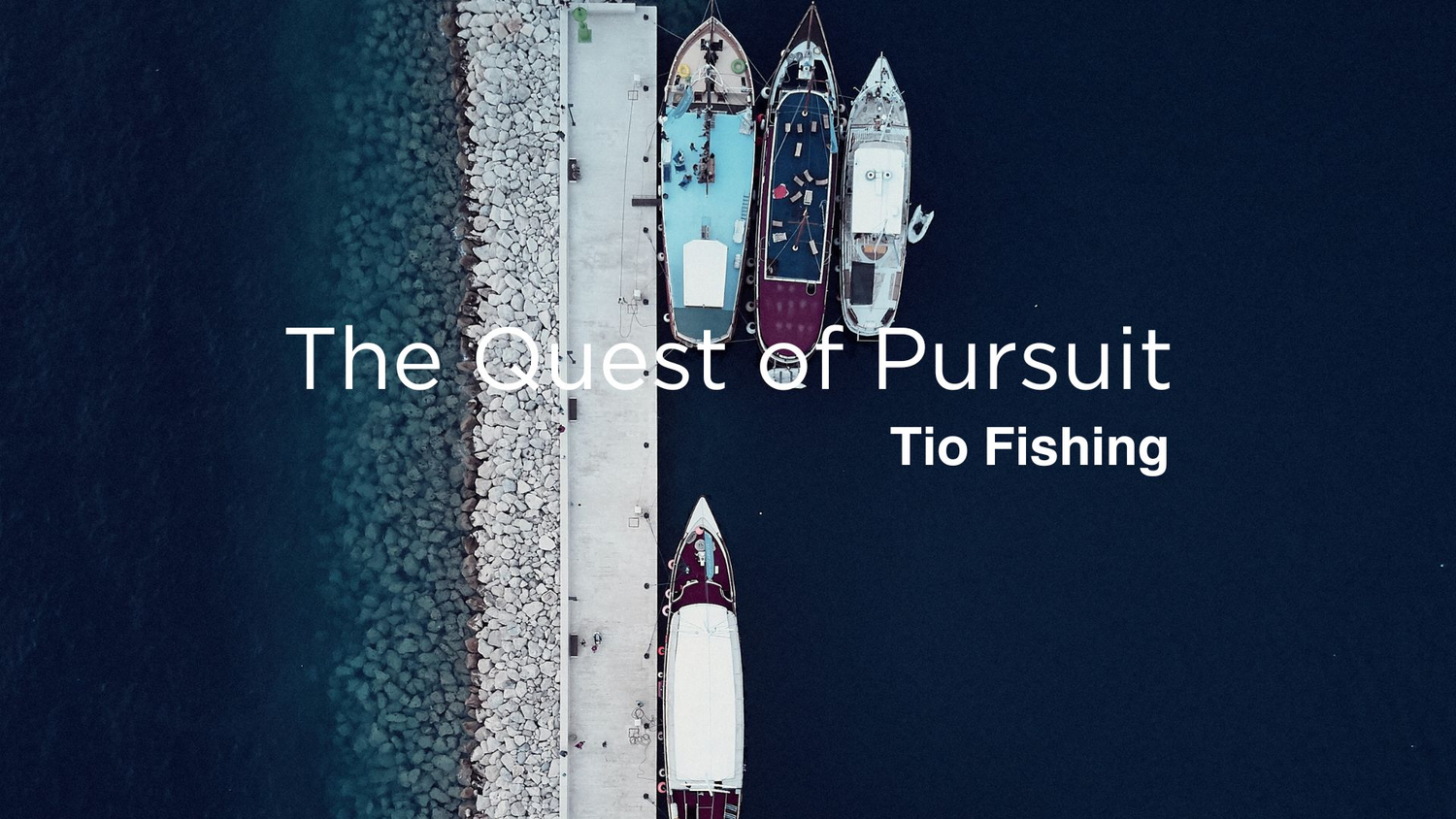 tio fishing light game ajing collection cover picture