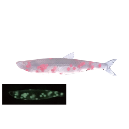 Little Jack MODELISM ZAKO 1.4" Ajing Soft Bait