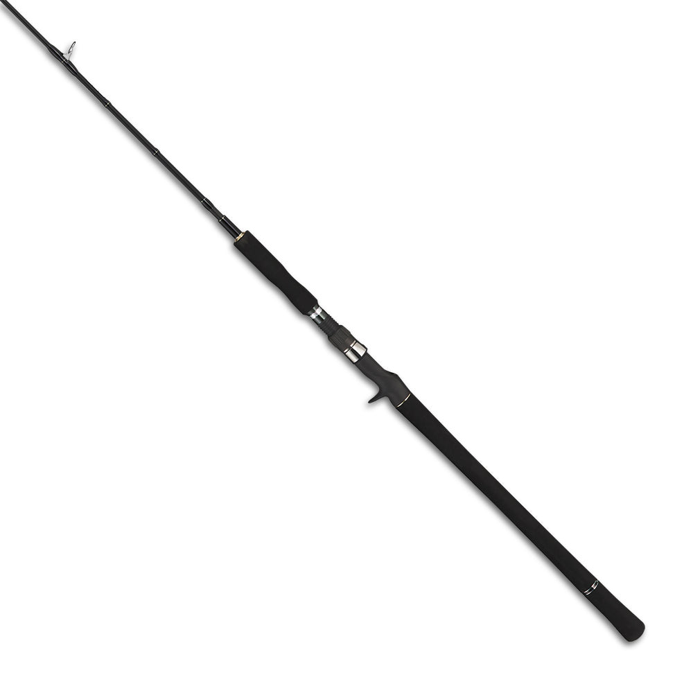 Tailwalk JIGFORCE SSD C604 Overhead Mechanical Jigging Rod