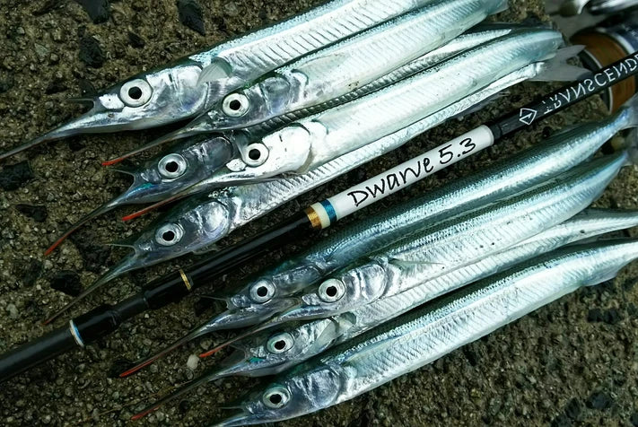 Transcendence DWARVE-XX Light Game & Stream Travel Rod