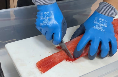 Tijeras multifuncionales para pescado Hapyson 