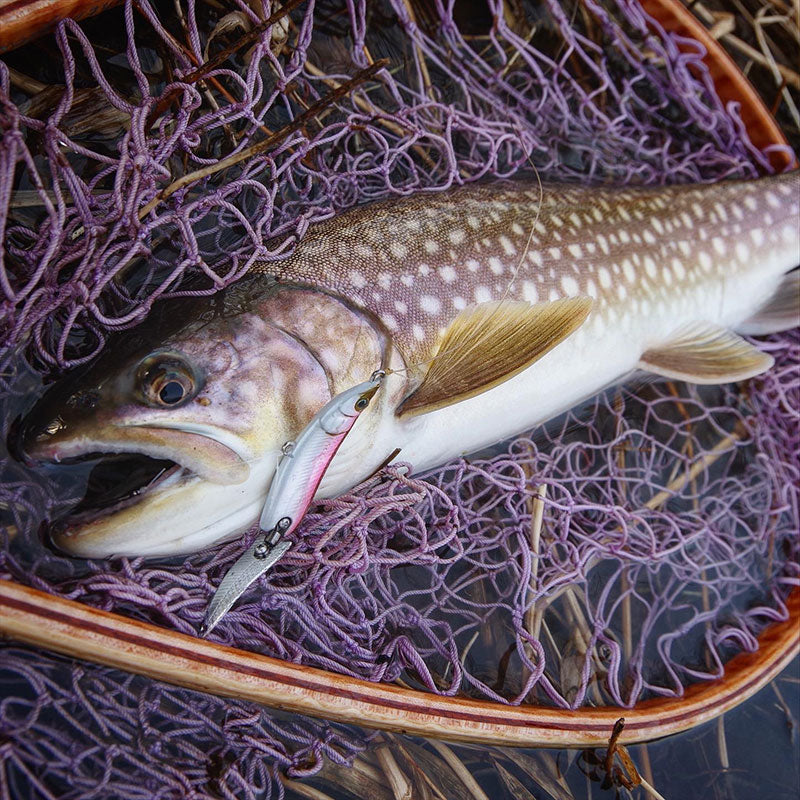 Little Jack HymiR Joint Spoon