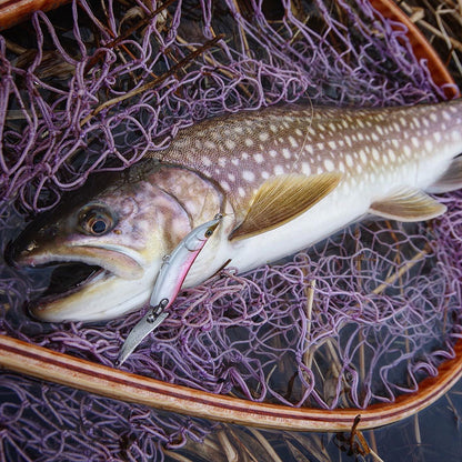 Little Jack HymiR Joint Spoon