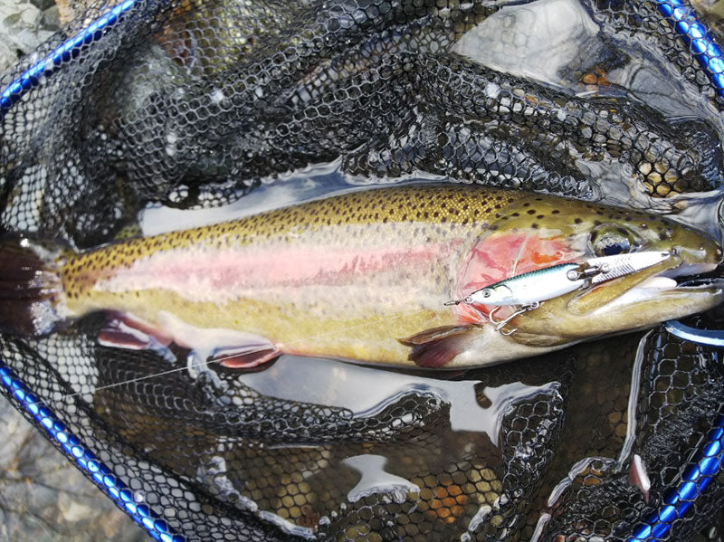 Little Jack HymiR Joint Spoon