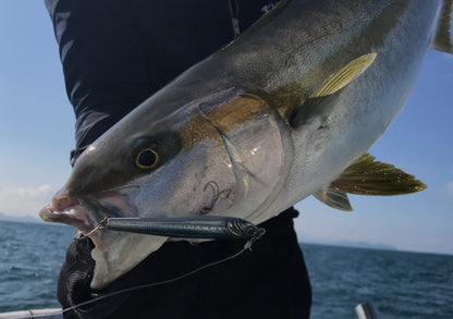 Little Jack Forma Stick Jigging Minnow