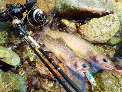 Transcendence DWARVE-XX Light Game & Stream Travel Rod