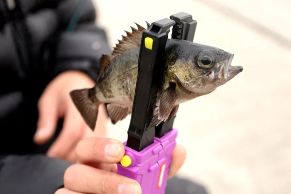 MAGBITE 夹钳