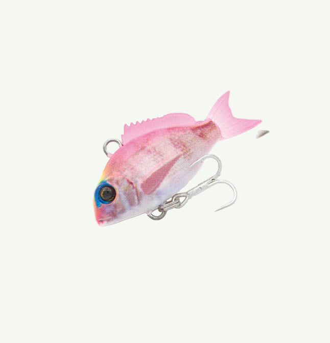 Little Jack Micro Charikom Vibe Lure