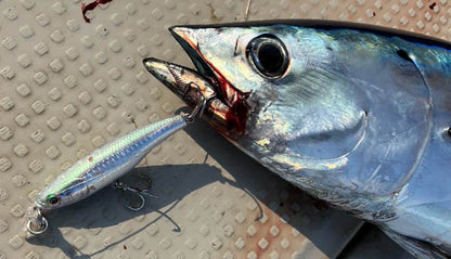 Little Jack Shaking HeadS Sinking Pencil