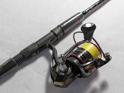 eging rod, reel, line full set up