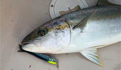 Little Jack BILHOUETTE 160 Topwater Popper