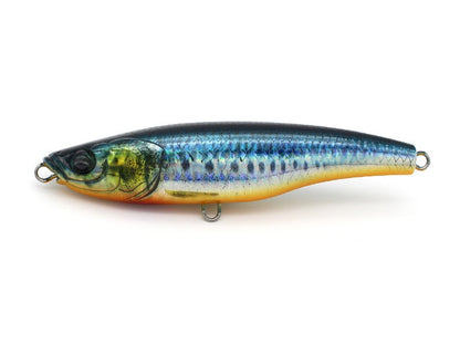 Little Jack Forma Heads Topwater Stickbait