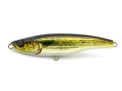 Little Jack Forma Heads Topwater Stickbait