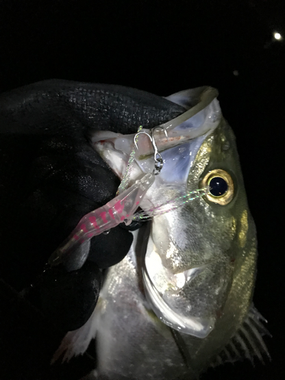 Little Jack HanebiX-50 Shrimp Micro Jig