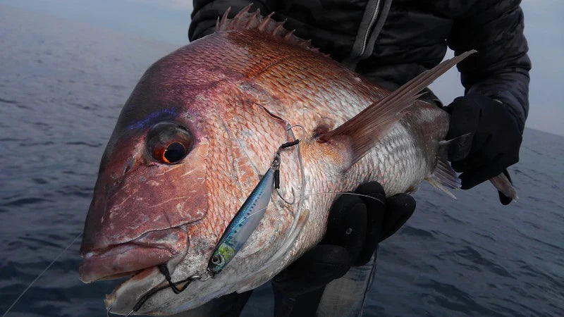 Little Jack Metal Adict Type 01 Spoon Metal Jig