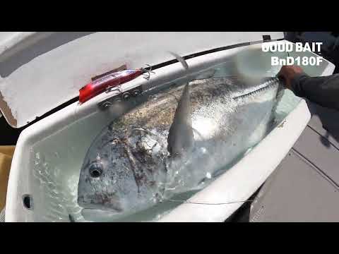 GOOD BAIT BnD 180F オリオン GOOD BAIT BnD 180F - 【Bass Trout Salt lure fishing web