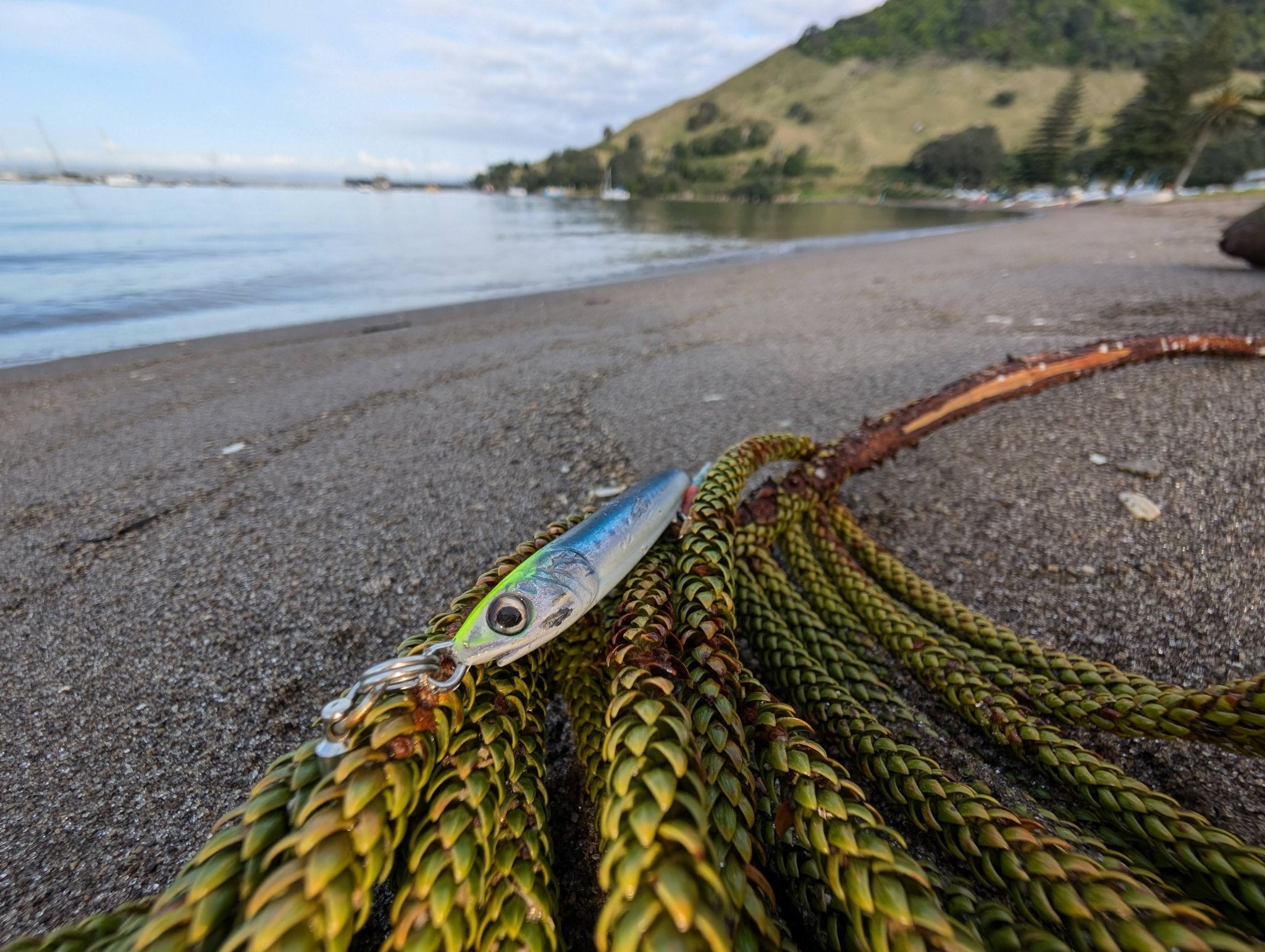 SLJ and micro jig from Little Jack