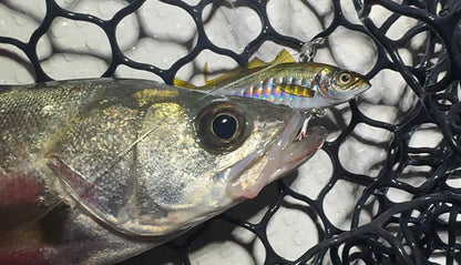 Little Jack ZEIGOS Vibe Lure